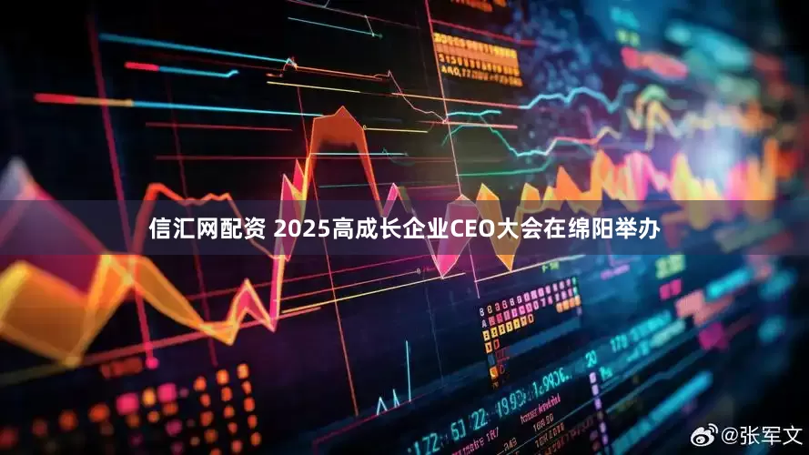 信汇网配资 2025高成长企业CEO大会在绵阳举办