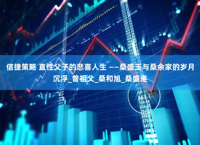信捷策略 直性父子的悲喜人生 ——桑盛玉与桑余家的岁月沉浮_曾祖父_桑和旭_桑盛淮